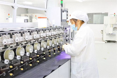整合科創(chuàng)資源搶占新興賽道 遂寧新質生產力蓄勢而行